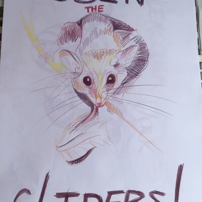 PossumPartyGlider