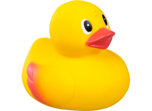 :rubberduck: