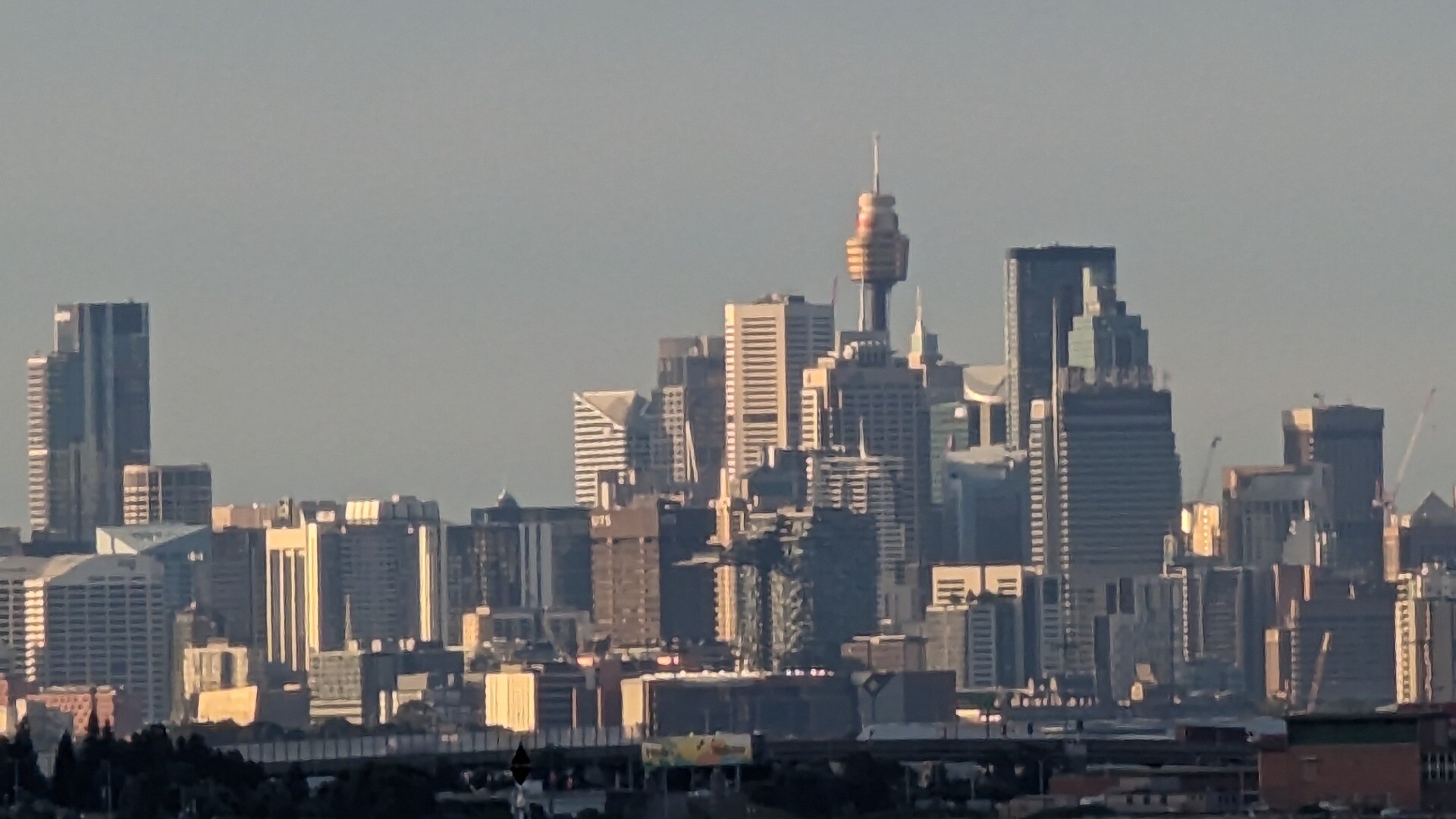 Sydney skyline in late afternoon sun 