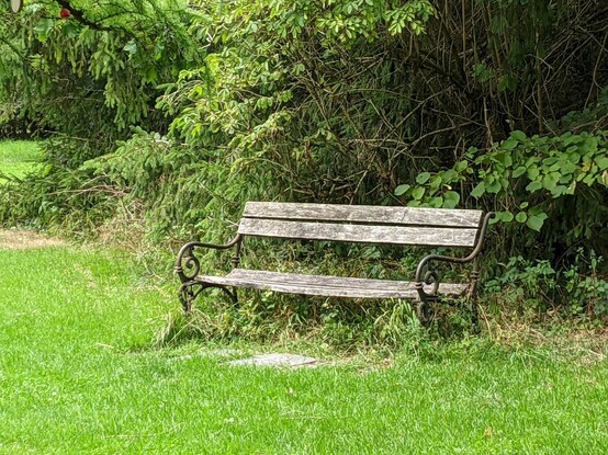 An old wooden bench under a tree in a park setting 