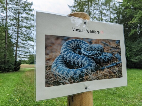 Parkland sign saying Caution Wildlife with a picture of a rather pretty blue snake 