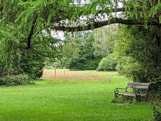 my dad's old wooden bench in a serene green parkland setting 