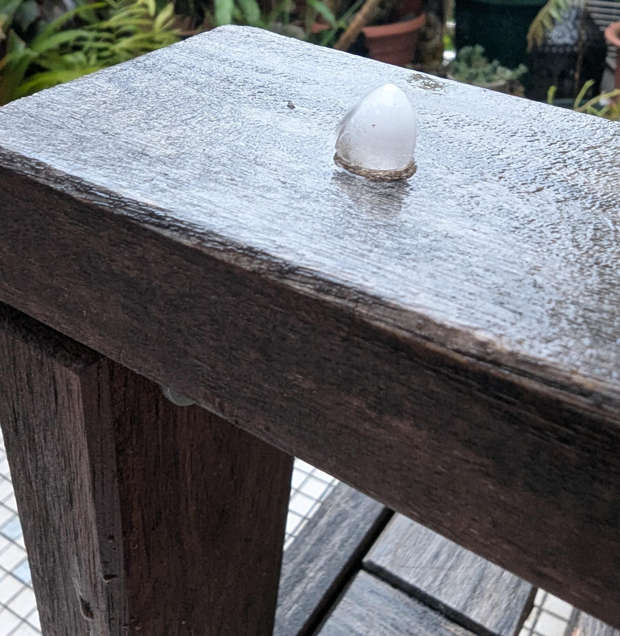On my balcony on the wet wooden bench arm rest one of the thousands of hail corns bullet shaped and sized that just rained down on us