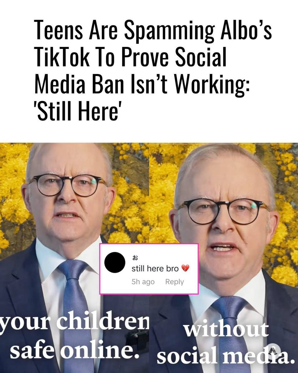 New post from Mastodon !