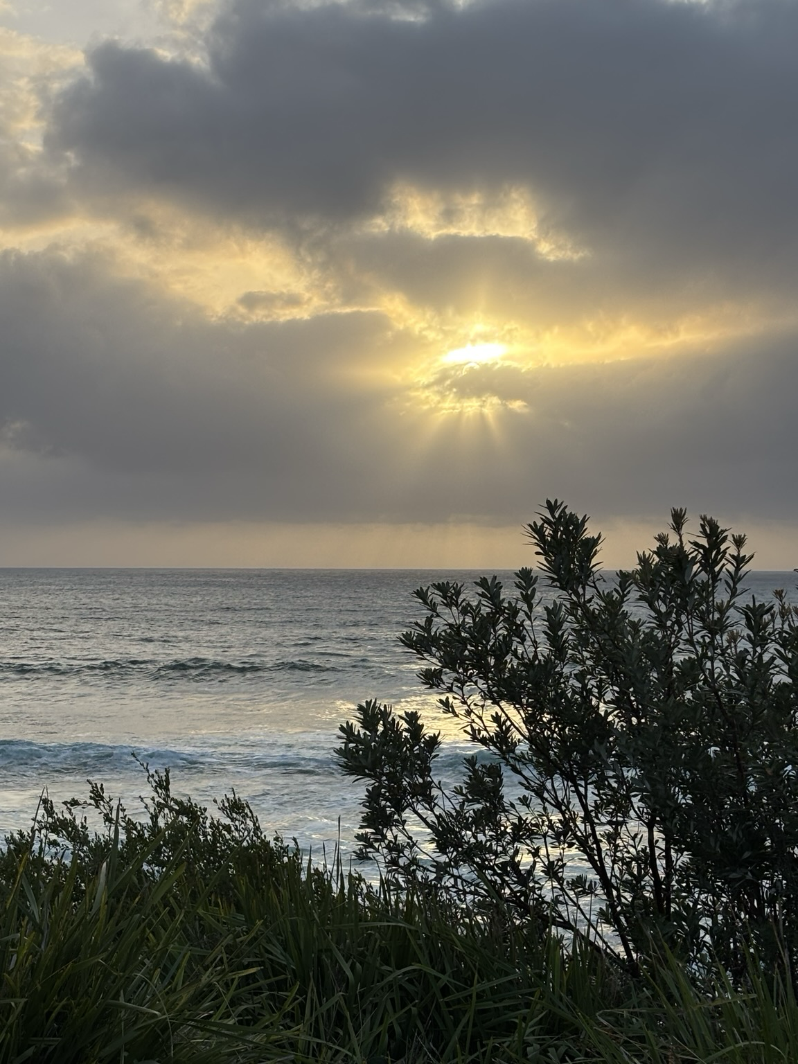 New post from Mastodon !