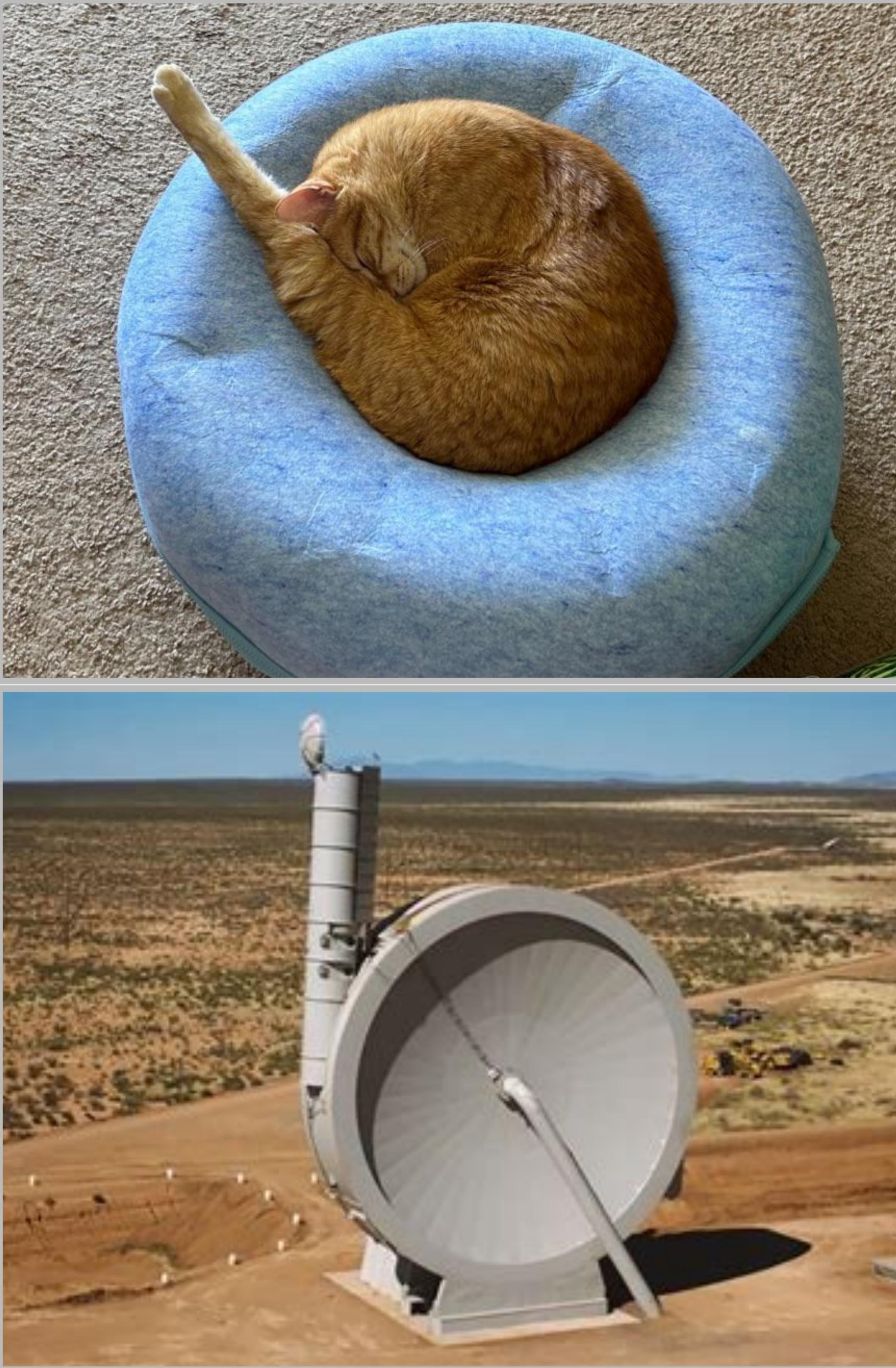 A cat curled up with one leg extended, above a picture of the SpinLauch site, which is the same shape.