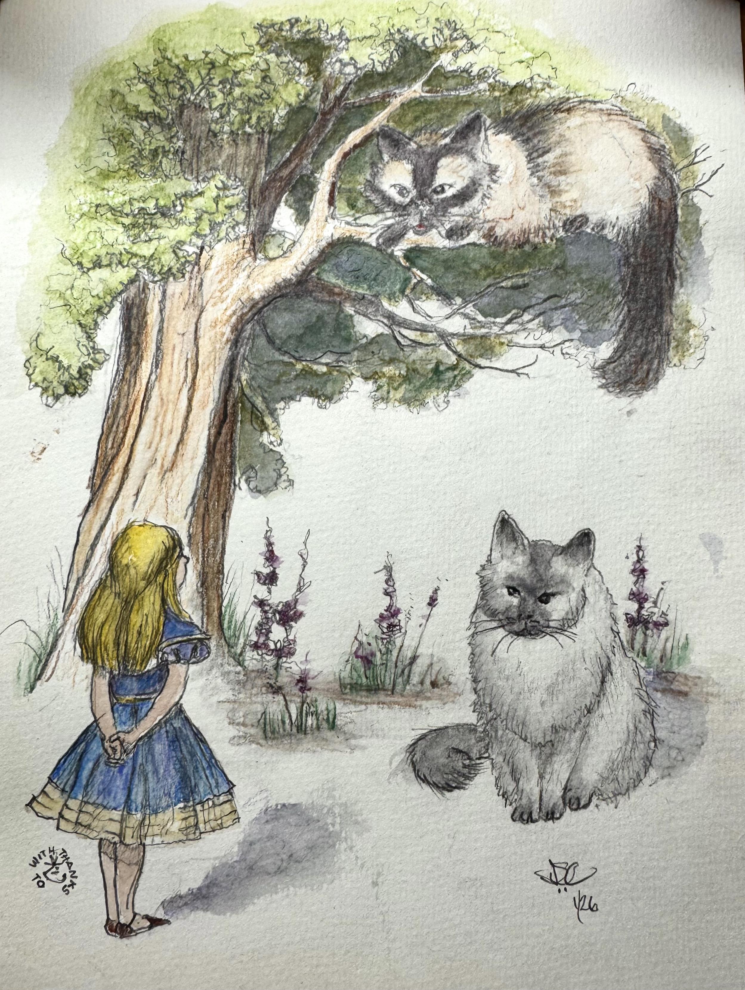 Both cats reappear in copy of John Tenniel’s illustration from Alison Wonderland. Berman cat is in tree and Ragdoll is on ground. Both are regarding Alice with suspicion.
Illustration has been coloured with green leaves in tree and blue dress on Alice. Cats are in their natural colours described above.