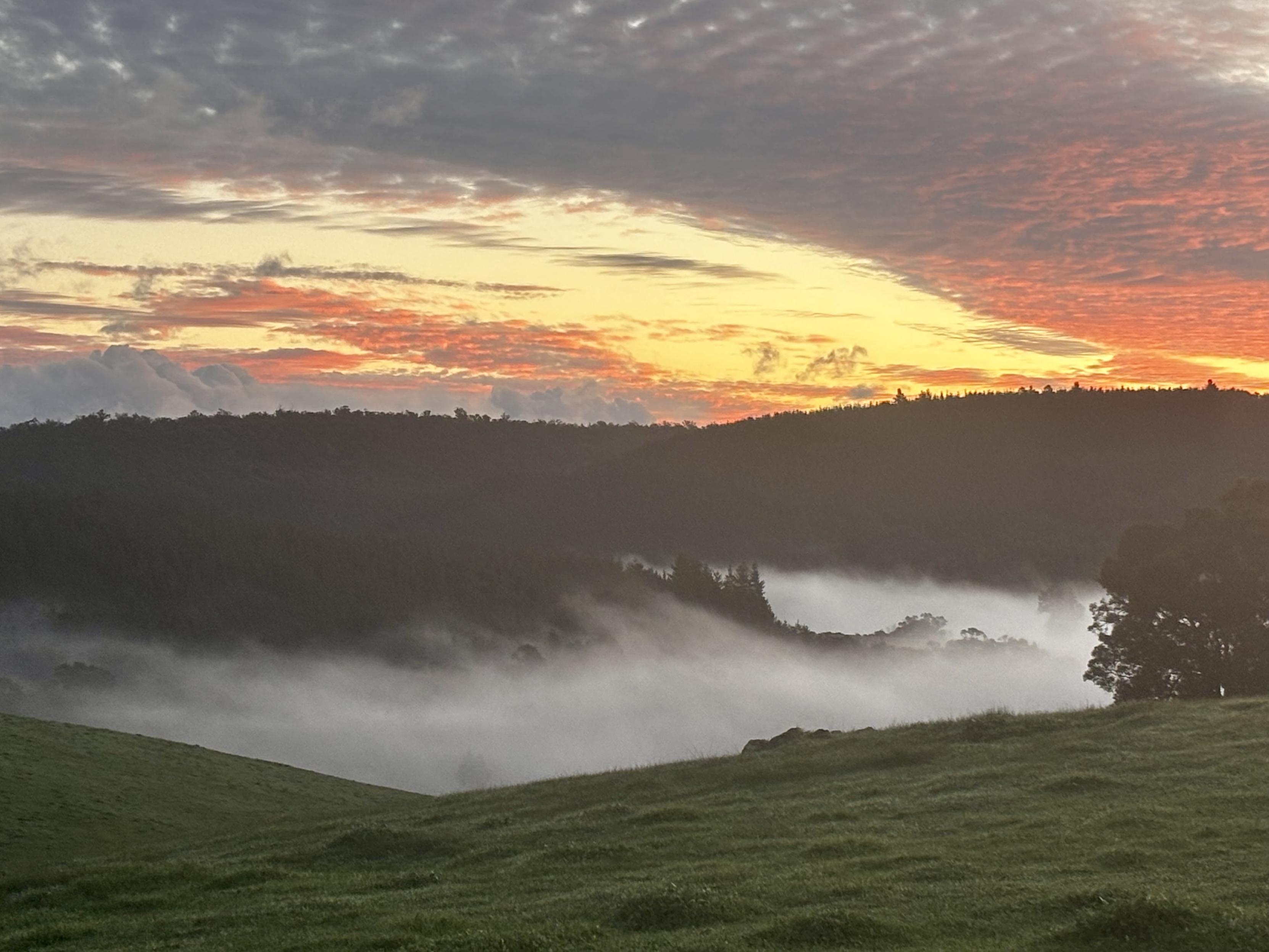 View from a hilltop, green grass-covered slope leading down to a fog-filled valley, with red and yellow sunset in the distance, with slightly mackerel clouds above