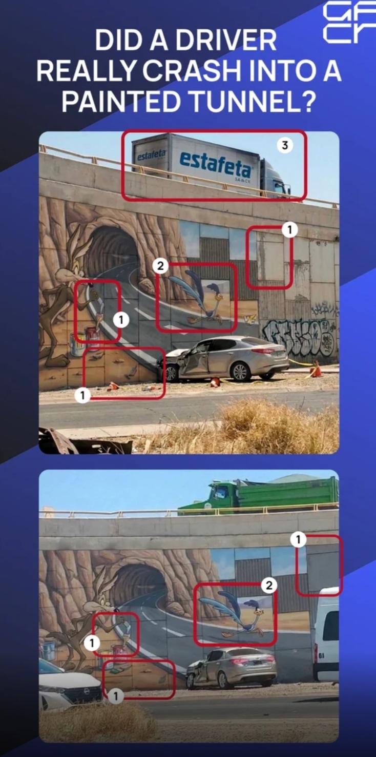 Images, with suspected AI artefacts highlighted.