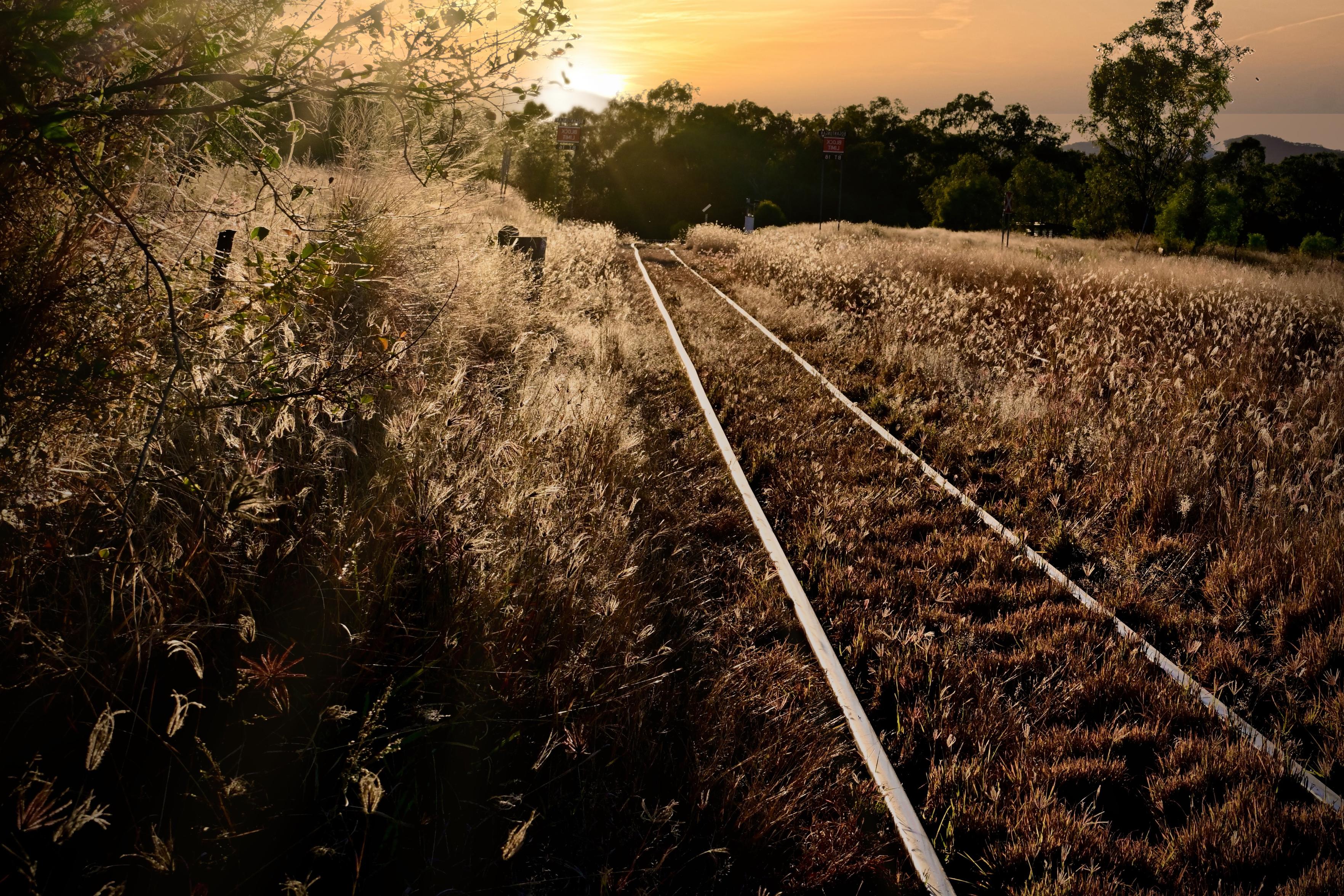 Willows, Queensland, late in the day. The low sun backlights the dry grass on either side of the tracks, turning every seed-head silver against the orange sky. Grass has grown so thick between the rails that the line reads as almost forgotten, just two thin strips of metal pushing toward the treeline. A sign is visible in the distance but the track beyond it disappears into the glow.